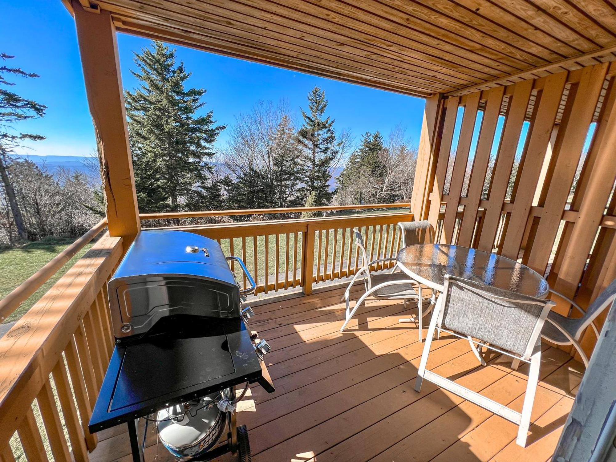 Remodeled Summit Condo At Snowshoe - Modern & Cozy Ngoại thất bức ảnh